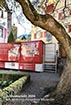 https://raetischesmuseum.gr.ch/de/besuch/shop/FotosPublikationen/JB_2024.jpg